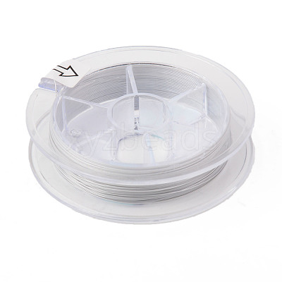Tiger Tail Beading Wire TWIR-R007-0.3mm-02-1