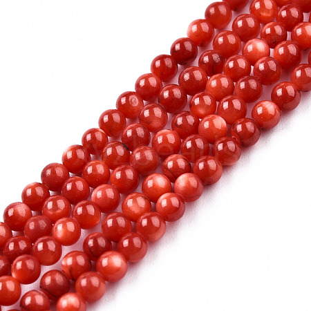 Natural Freshwater Shell Beads Strands SHEL-N026-205B-01-1