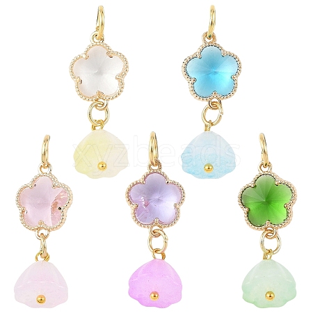 10Pcs 5 Styles Glass & Alloy & Acrylic Pendants PALLOY-YW00219-1