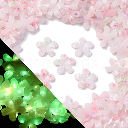 Luminous Resin Decoden Cabochons RESI-Z032-03B-1