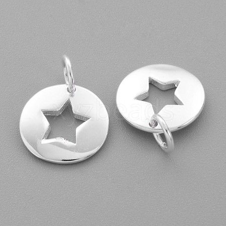 925 Sterling Silver Charms STER-G011-35-1