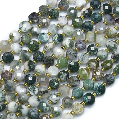 Natural Tree Agate Beads Strands G-K389-B07-01-1