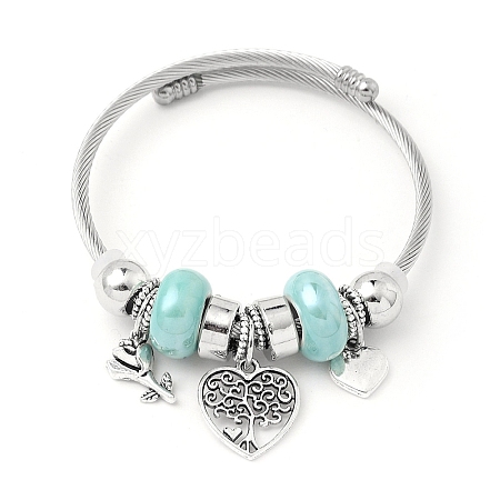 European Style Stainless Steel & Alloy Charm Bangles for Women PW-WG243C0-06-1