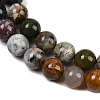 Natural Ocean Agate/Ocean Jasper Beads Strands G-G772-06-B-01-4