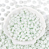 Opaque Baking Paint Glass Seed Beads SEED-N008-03A-08-2