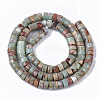 Natural Aqua Terra Jasper Beads Strands X-G-S366-012B-2