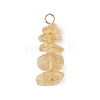 10Pcs 5 Colors 12 Constellation Natural Citrine & Golden & Stainless Steel Color Sheen Obsidian & Rose Quartz & Gold Rutilated Quartz & South Red Agate Pendants PALLOY-JF02839-06-3