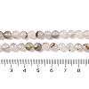 Natural Dendritic Agate Beads Strands G-A248-A07-01-5