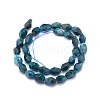 Natural Apatite Beads Strands G-O170-33-3