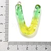 Resin Pendant FIND-Q107-01V-02-3