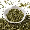 Baking Paint Glass Seed Beads X-SEED-S042-15A-16-2