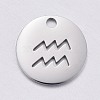 Non-Tarnish 304 Stainless Steel Charms STAS-F246-01D-1