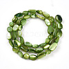 Natural White Shell Beads Strands SHEL-N036-21D-2