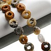 Natural Crazy Lace Agate Beads Strands G-P536-A04-01-2