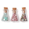 3Pcs 3 Styles Transparent Glass Wishing Bottle Decoration PALLOY-JF03093-1