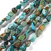 Natural Hubei Turquoise Beads Strands G-P497-01C-51-1