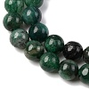 Natural Fuchsite Beads Strands G-D470-12B-1-4