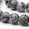 Natural Black Spot Stone Beads Strands G-S272-05-6mm-3