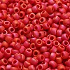 TOHO 6/0 Round Beads X-SEED-TR06-0405F-4