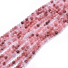 Natural Rhodonite Beads Strands X-G-F591-05-6mm-2