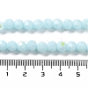 Opaque Glass Beads Strands EGLA-A035-P6mm-L10-4