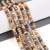 Natural Crazy Agate Beads Strands G-T141-37-1