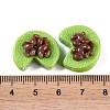 Opaque Resin Imitation Food Decoden Cabochons CRES-I032-02F-3