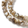 Natural Freshwater Shell Beads Strands X-SSHEL-B002-15-3