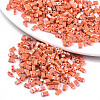 FGB 2-Hole Glass Seed Beads SEED-S031-M-SH130-1