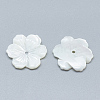 Natural White Shell Beads SSHEL-S260-062C-2