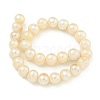 Natural Cultured Freshwater Pearl Beads Strands PEAR-C003-09F-4