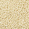 6/0 Glass Seed Beads X1-SEED-L011-08A-16-3