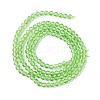 Transparent Glass Beads Strands GLAA-C019-01B-19-2