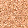 MIYUKI Round Rocailles Beads X-SEED-G009-RR0369-2