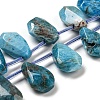Natural Apatite Beads Strands G-Z040-A07-01-1
