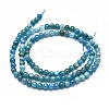 Natural Apatite Beads Strands G-K305-26-C-2