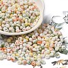 Baking Paint Glass Seed Beads X1-SEED-F006-01A-11-1