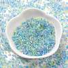 Transparent Colours Glass Seed Beads SEED-H003-01I-2