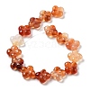 Natural Red Agate Beads Strands G-P520-A06-01-3