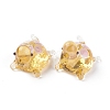 Handmade Lampwork Beads LAMP-D015-03J-2