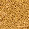 MIYUKI Delica Beads SEED-J020-DB0651-3