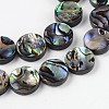 Natural Abalone Shell/Paua Shell Beads Strands X-SSHEL-G003-5-10x3mm-3