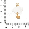 304 Stainless Steel Acrylic Pendants RB-CBA4D1F-13G-A-3