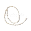 Natural Freshwater Shell Beads Strands SHEL-C003-06-2