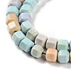 Natural Rainbow Alashan Agate Beads Strands G-NH0022-J01-01-4