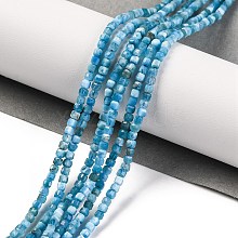 Natural Apatite Beads Strands G-F770-A04-02