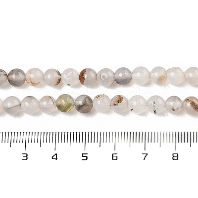 Natural Dendritic Agate Beads Strands G-A248-A07-01-1