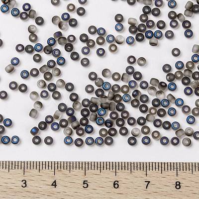 MIYUKI Round Rocailles Beads X-SEED-G008-RR4556-1