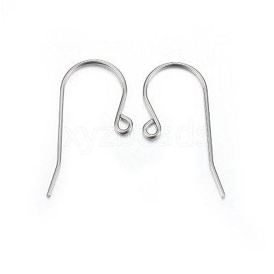 316L Stainless Steel Earring Hooks X-STAS-P210-20P-1