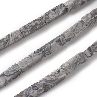 Natural Map Stone/Picasso Stone/Picasso Jasper Beads Strands G-G837-05-1
